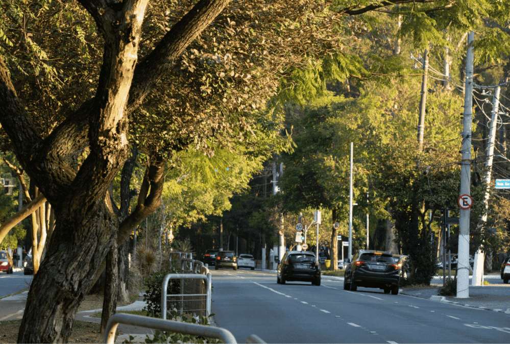 Desentupimento de Esgoto no Jardim Paulista